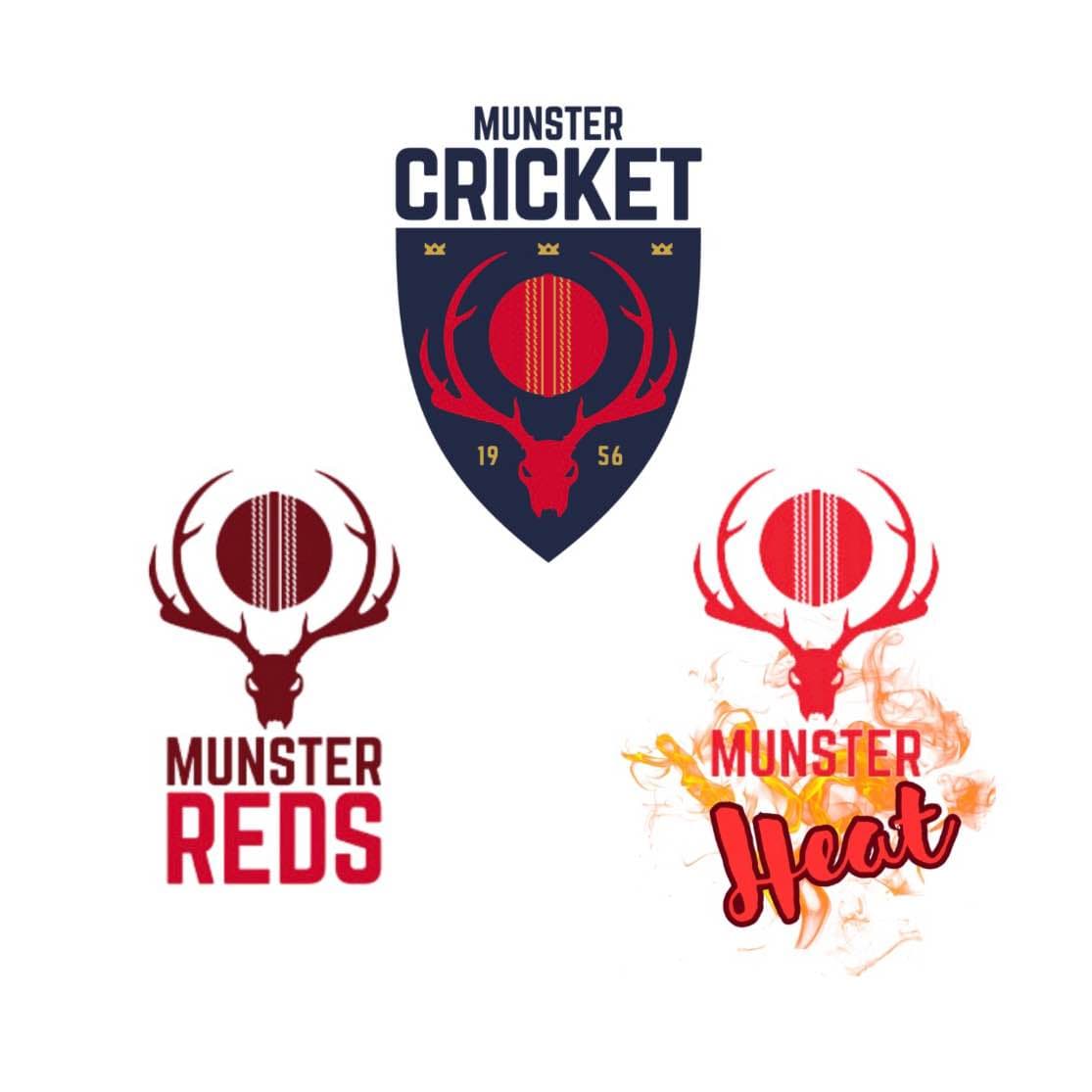 Munster Cricket