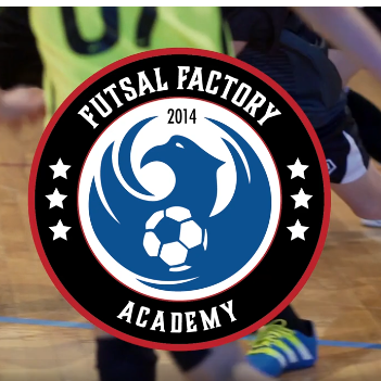 Libertyville Futsal Factory