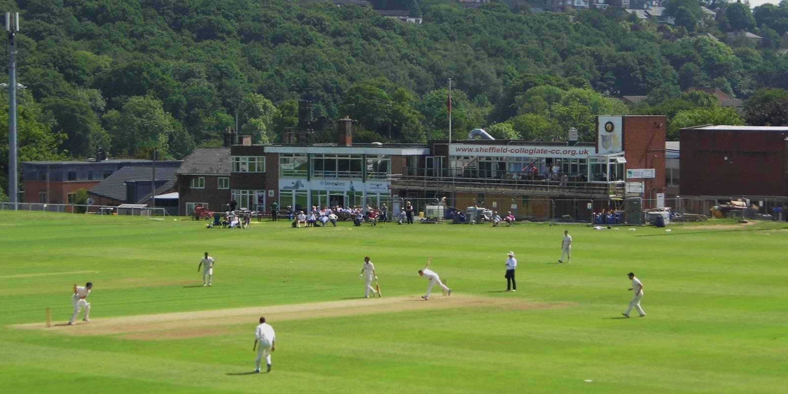 SHEFFIELD COLLEGIATE CRICKET CLUB JOINS PLAI